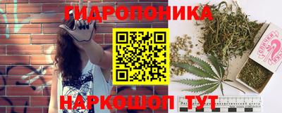 спайс Славгород