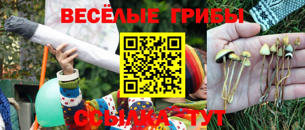 Галлюциногенные грибы GOLDEN TEACHER Орск