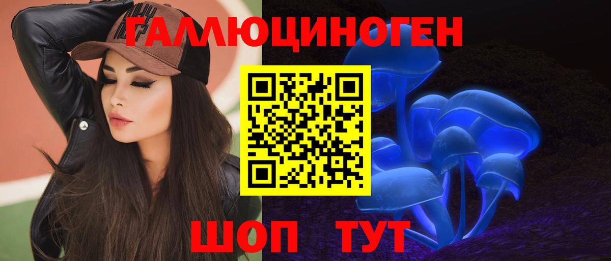 где найти наркотики  Вход с VPN  Орск  Псилоцибиновые грибы GOLDEN TEACHER 